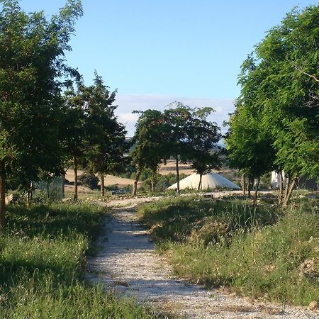 Hotel Campo De Reyes Tafalla Esterno foto