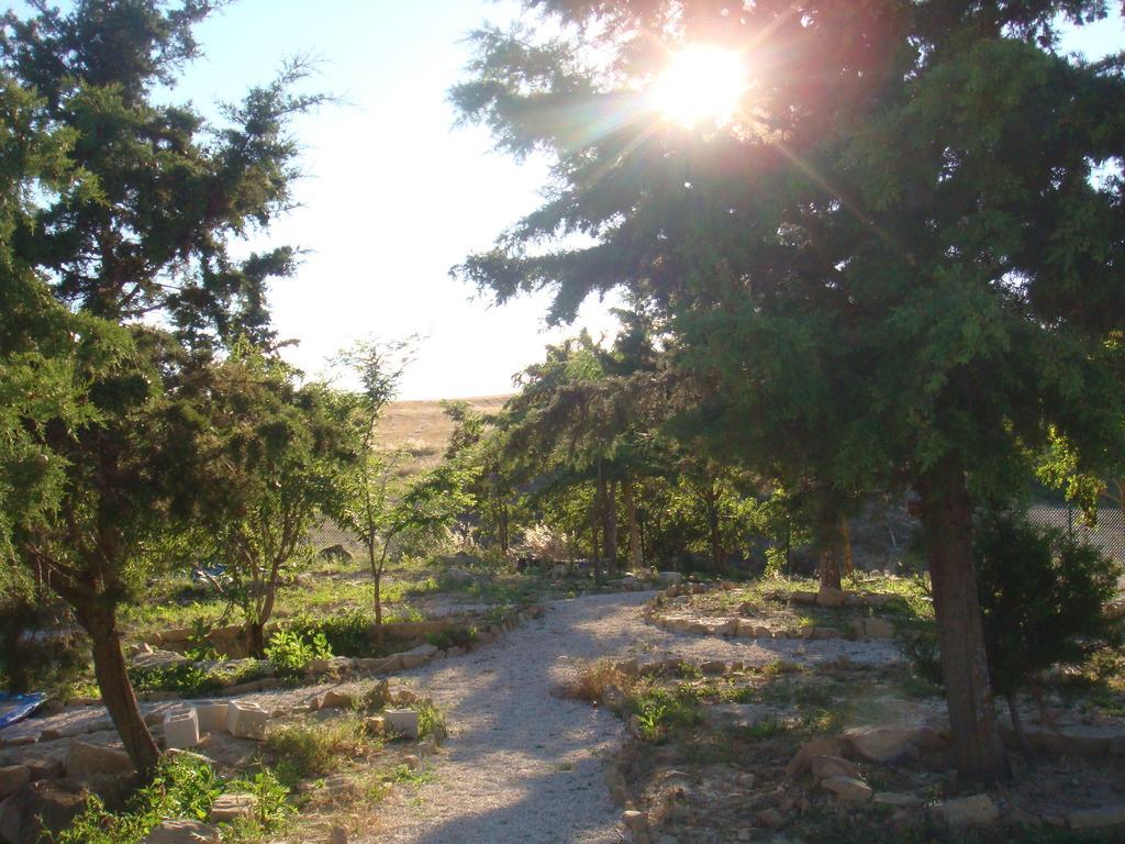 Hotel Campo De Reyes Tafalla Esterno foto